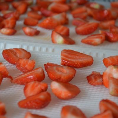 Aardbeien drogen
