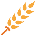 Glutenvrij