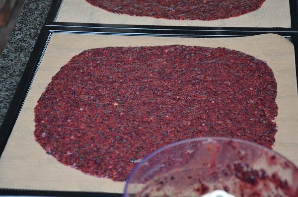 Blauwe bessen fruitleer