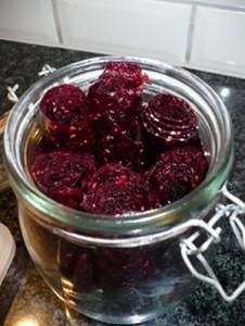 Bramenfruitleer-Anita-Hendrikx