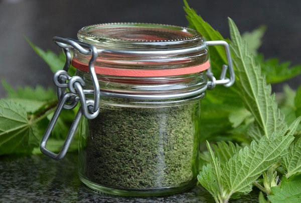 Brandnetelpoeder maken