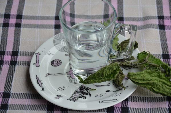 Brandnetelthee maken