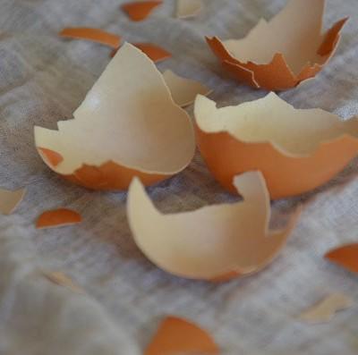 Eierschalen drogen