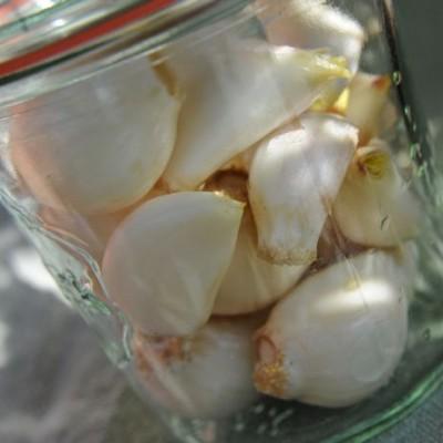 Knoflook invriezen