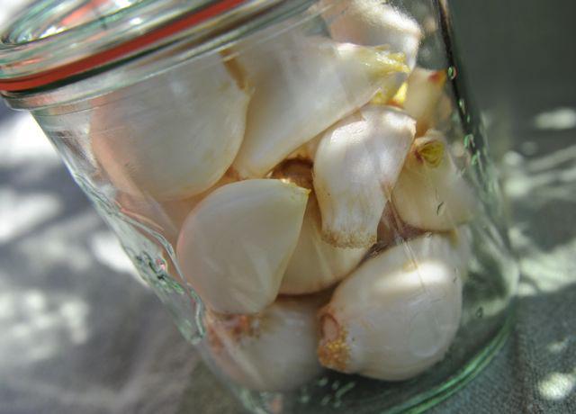 Knoflook invriezen