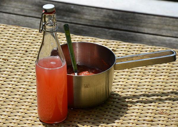 Rabarber inmaken en rabarberlimonade maken