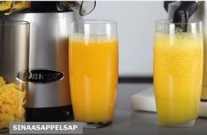 Verschil slowjuicer sapcentrifuge