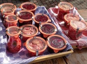 bieten-inmaken-door-Jacqueline-Baijs