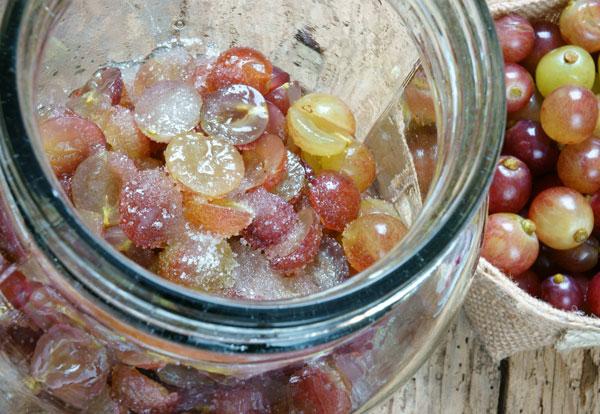 Fermenteren