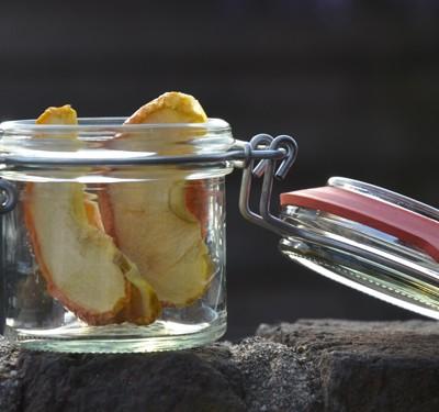 Appels drogen in de infrarood droogoven