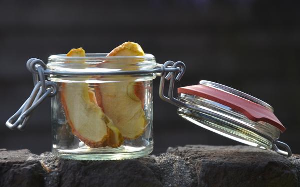 Appels drogen met een infrarood droogoven