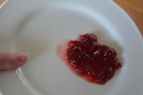 De stollingstest jam maken