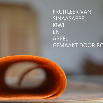 Fruitleer van sinaasappel appel en kiwi