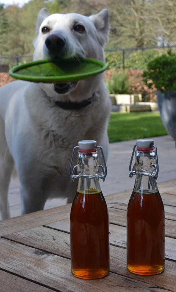 Paardenbloemsiroop