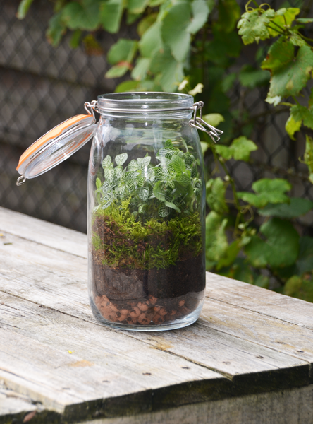Maak je eigen terrarium met je weckpot!